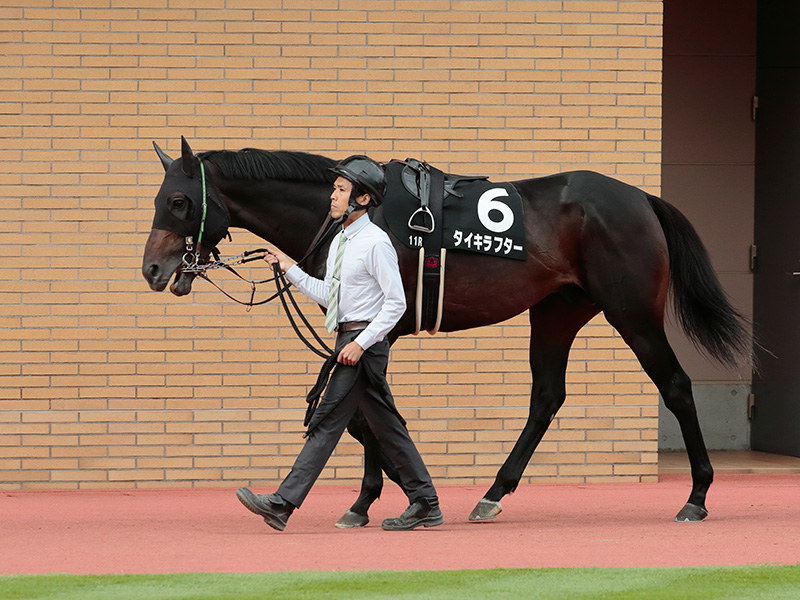 タイキラフター
