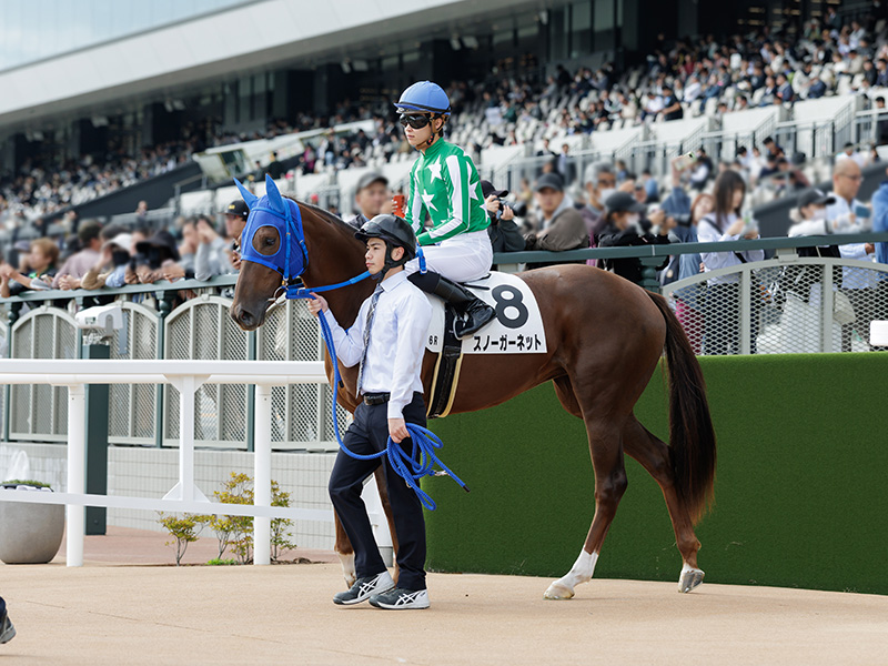 スノーガーネット