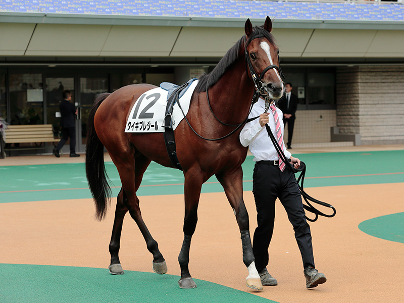タイキプレジール