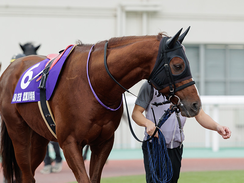 タイキフォース