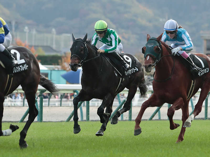 タイキヴァンクール