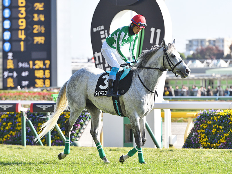 タイキフロリゼル