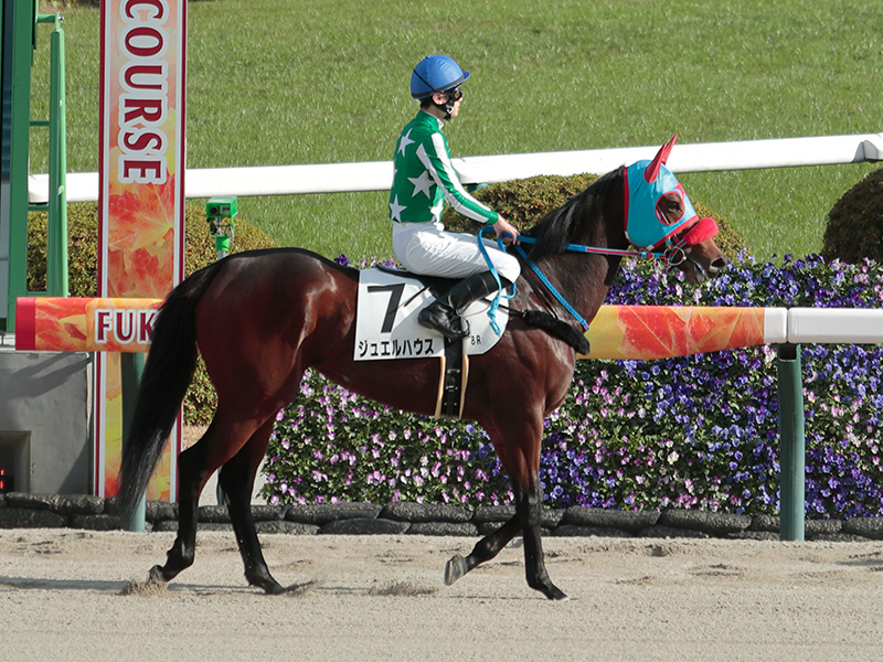 ジュエルハウス