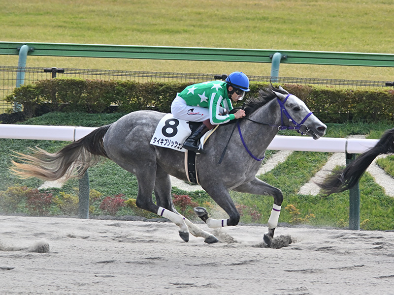 タイキブリッツェン