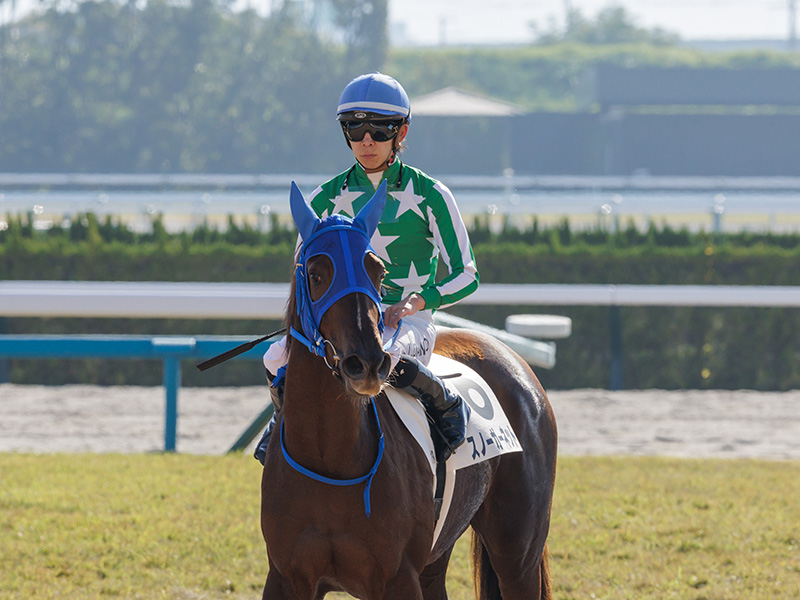 スノーガーネット