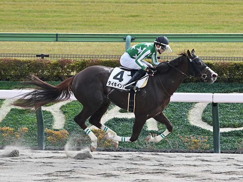タイキインドラ