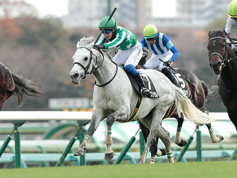タイキフロリゼル