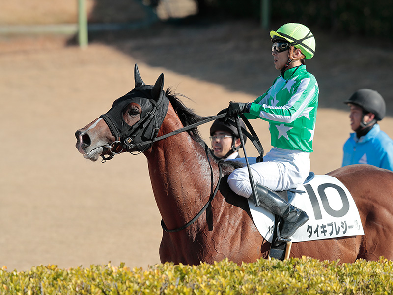 タイキプレジール