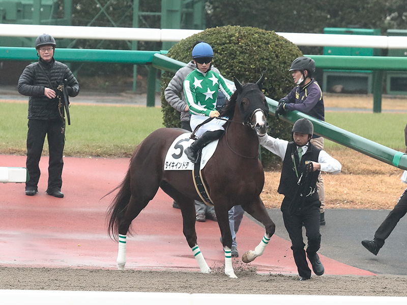 タイキインドラ