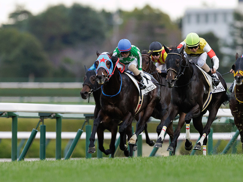 タイキエクセロン