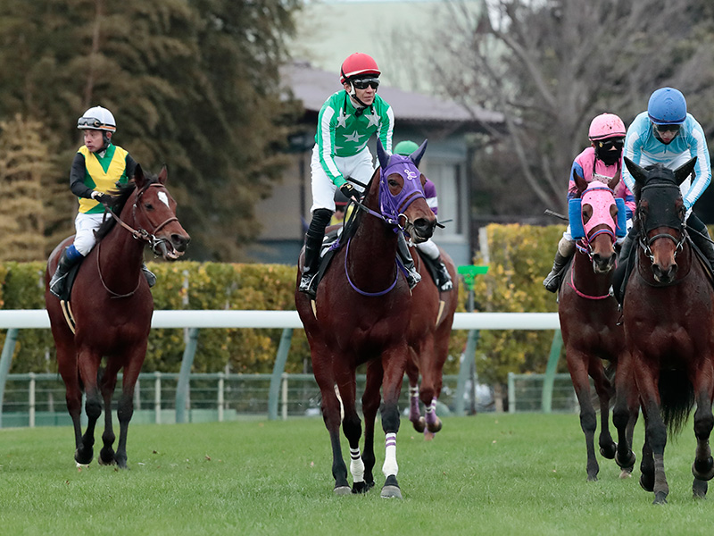 ミニョンマルーン