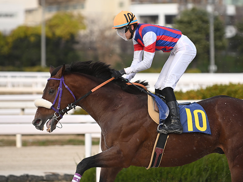 タイキザモーメント