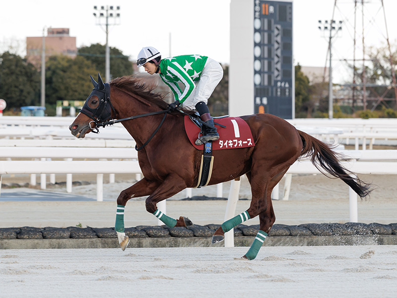 タイキフォース