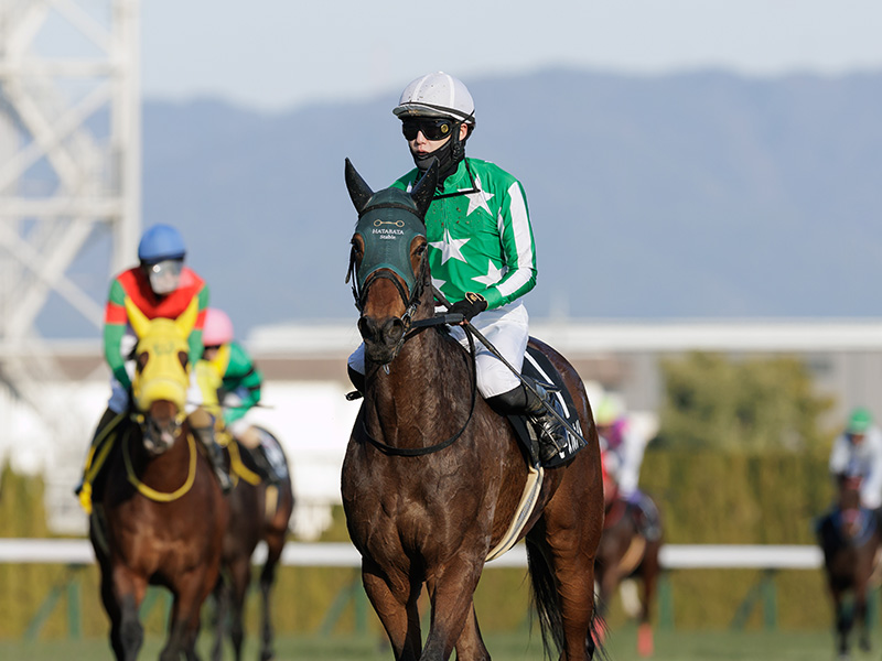 ピースフルナイト