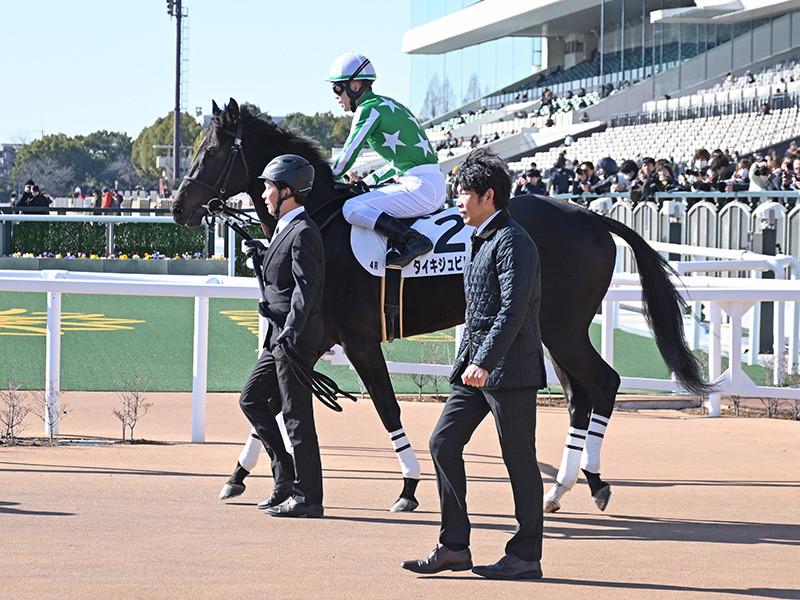 タイキジュビリー