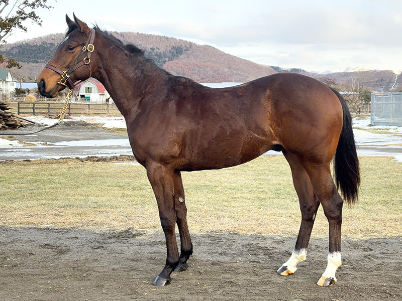 フロストエッジの24年産