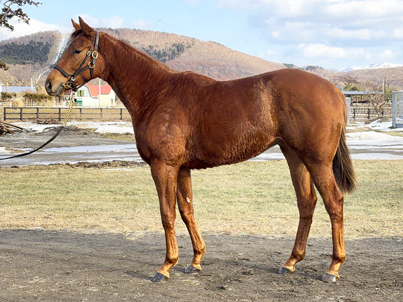 イングレーヴの24年産