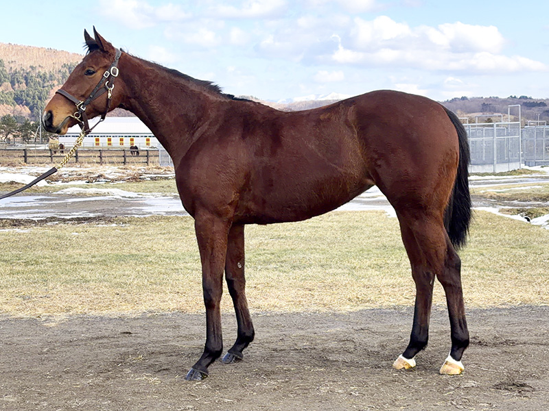 ピアレジーナの24年産