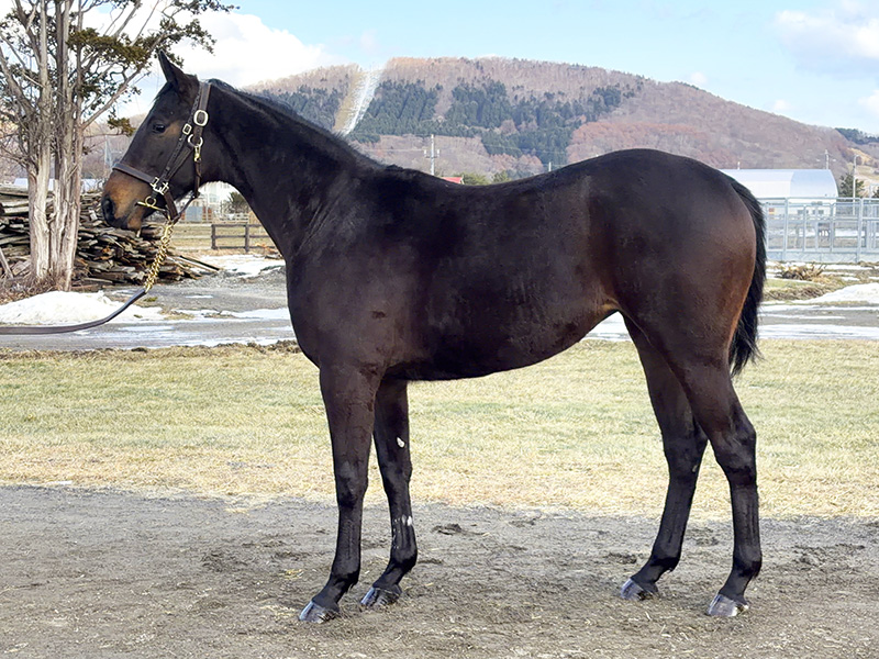 フェリーチェの24年産