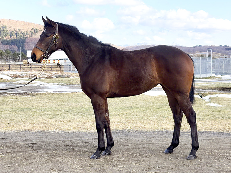 ブラックフェアリーの24年産