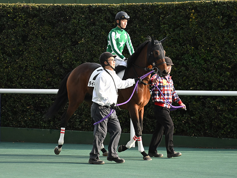 タイキジパング