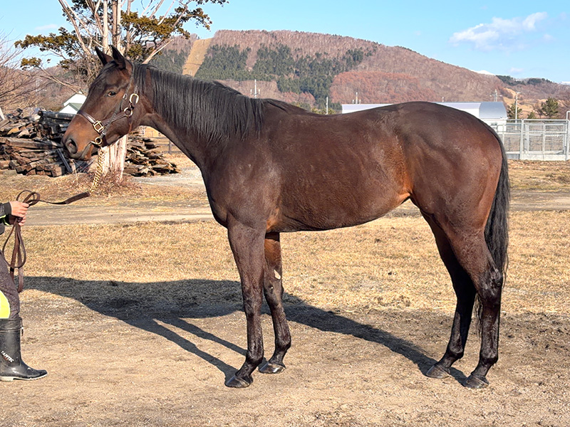 ブルーメンフェスト