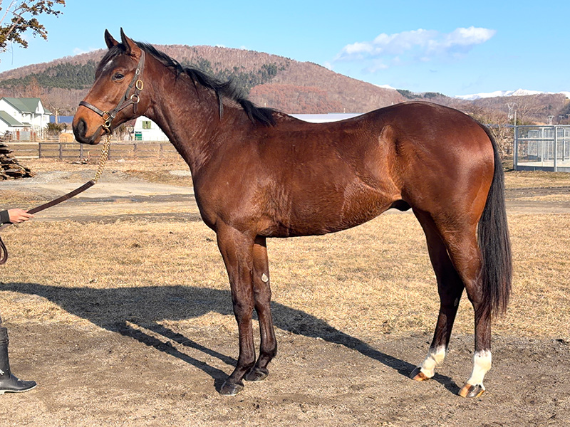 フロストエッジの24年産