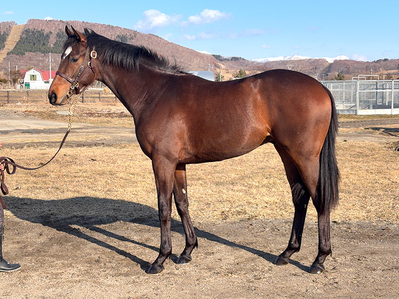 ラブインブルームの24年産