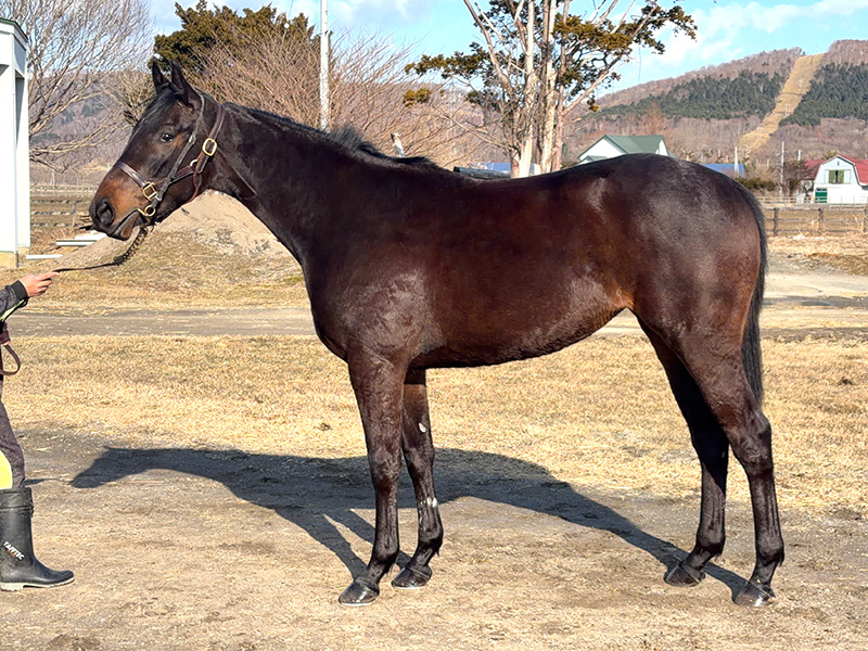 フェリーチェの24年産