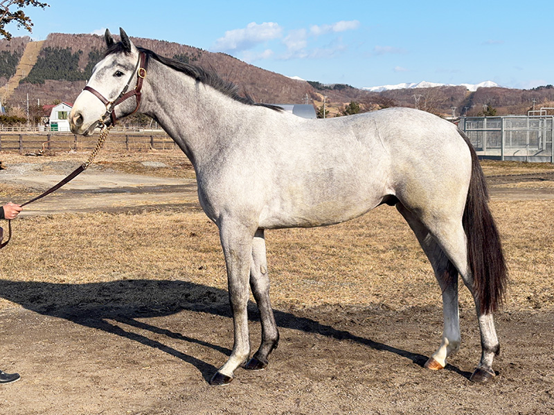 クロフネビームスの24年産
