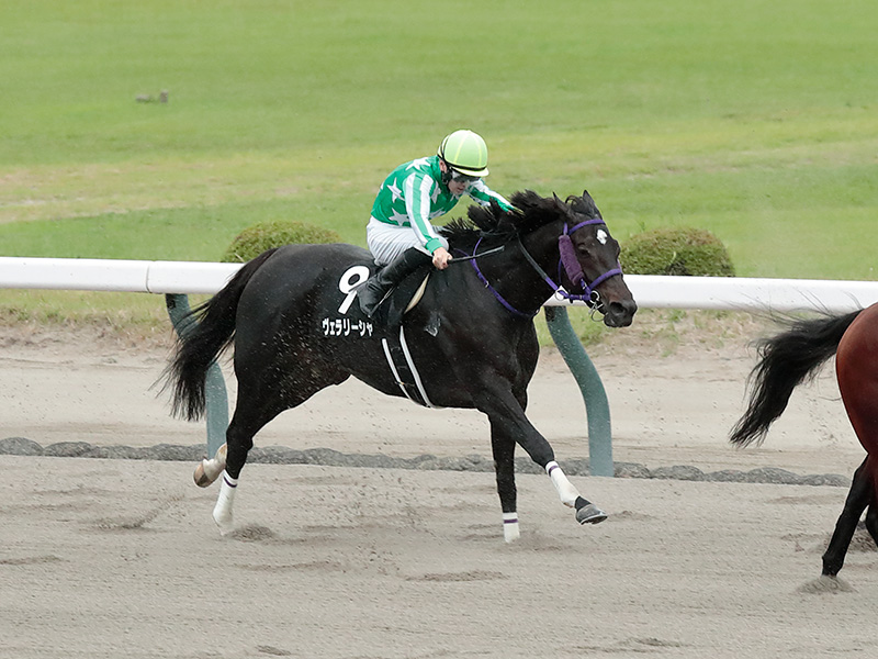 ヴェラリーシャ