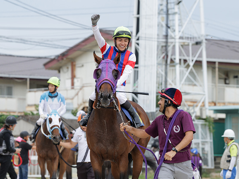 タイキジパング