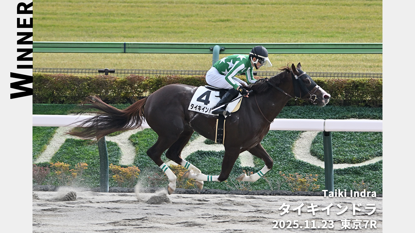 Topimage_Winners_20251123IND