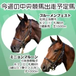1998-1999　大樹レーシングクラブカタログ 電子カタログ | 大樹レーシングクラブ公式サイト